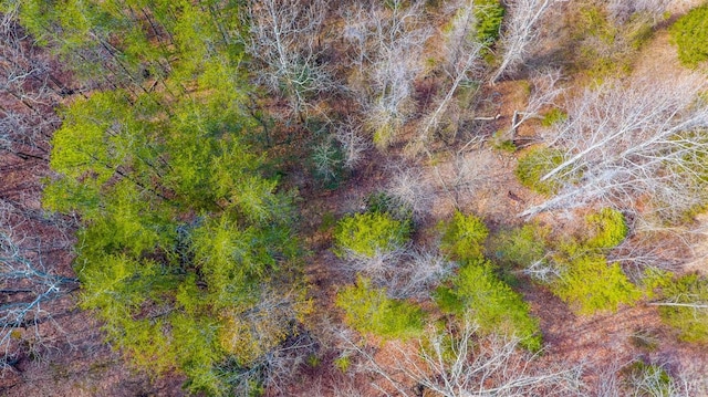 0 Thistle Rd, Rustburg, VA 24588