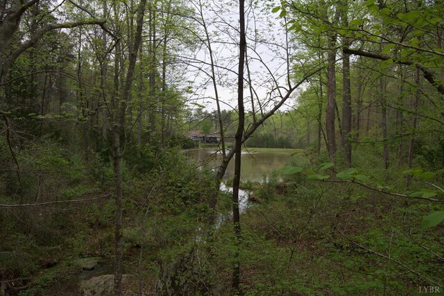 0 Clear Point Run, Lynch Station, VA 24571 - photo 54