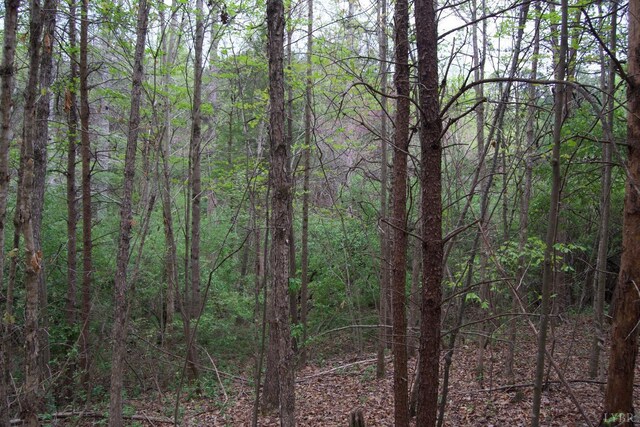 0 Clear Point Run, Lynch Station, VA 24571 - photo 41