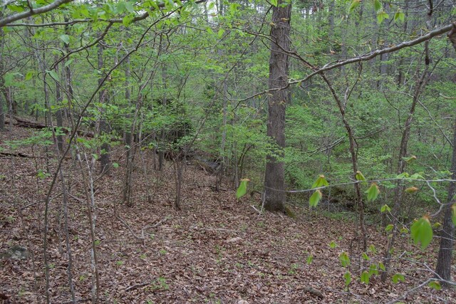 0 Clear Point Run, Lynch Station, VA 24571 - photo 50