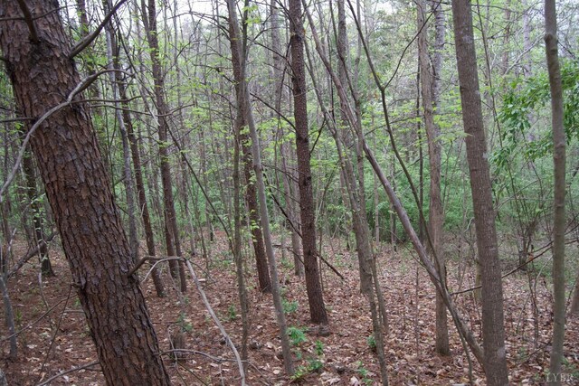 0 Clear Point Run, Lynch Station, VA 24571 - photo 39