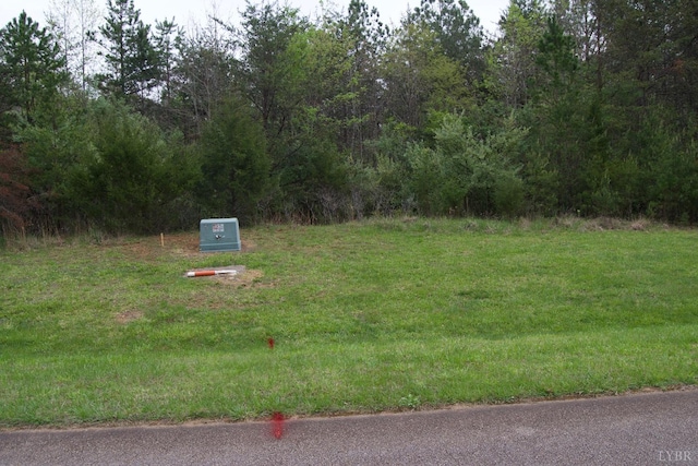 0 Clear Point Run, Lynch Station, VA 24571 - photo 70
