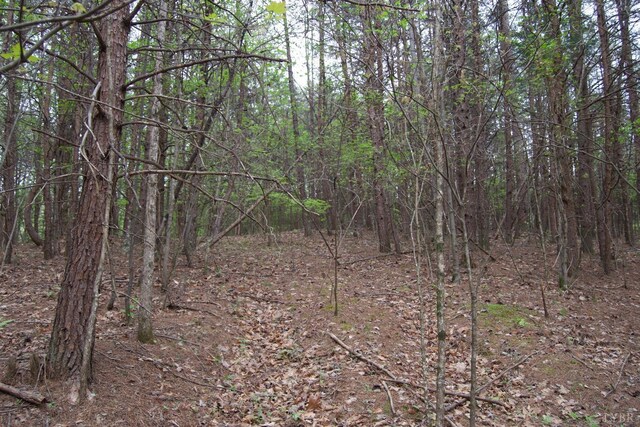 0 Clear Point Run, Lynch Station, VA 24571 - photo 64