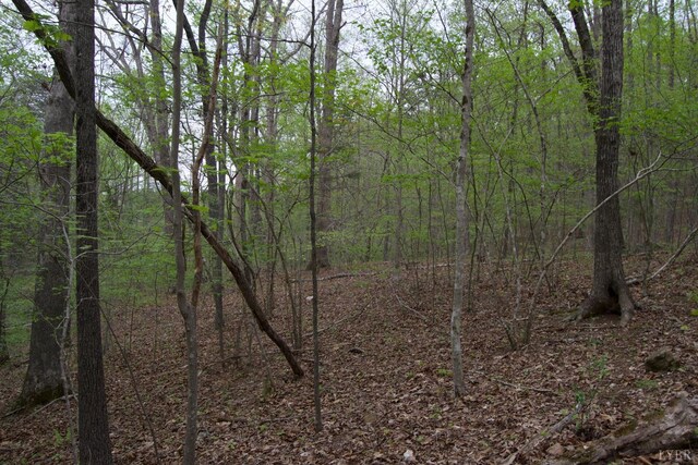 0 Clear Point Run, Lynch Station, VA 24571 - photo 57