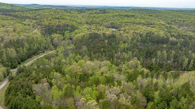 0 Clear Point Run, Lynch Station, VA 24571 - photo 18