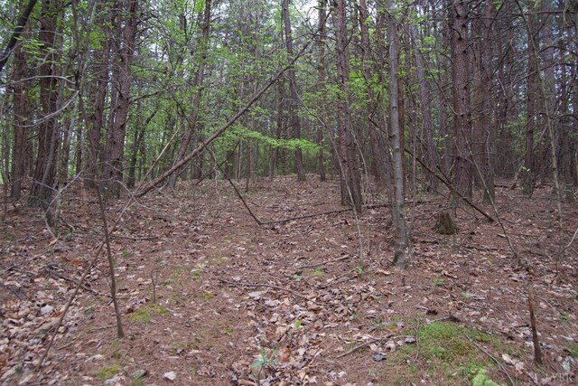 0 Clear Point Run, Lynch Station, VA 24571 - photo 44