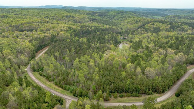 0 Clear Point Run, Lynch Station, VA 24571 - photo 20