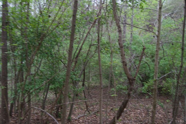 0 Clear Point Run, Lynch Station, VA 24571 - photo 40
