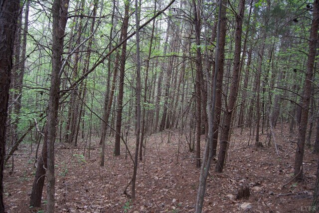 0 Clear Point Run, Lynch Station, VA 24571 - photo 67