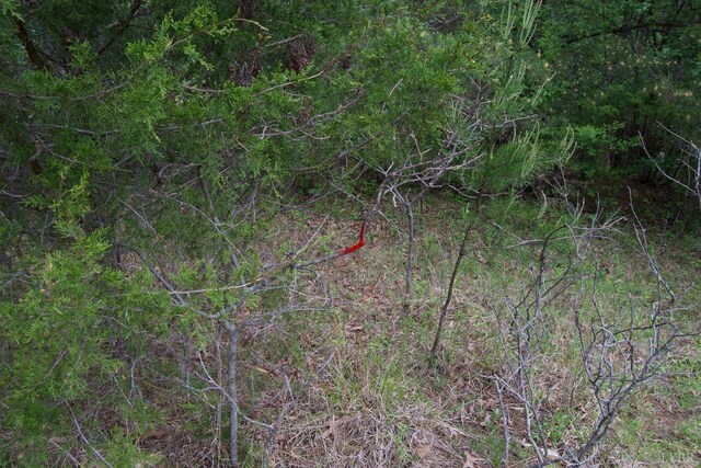0 Clear Point Run, Lynch Station, VA 24571 - photo 71