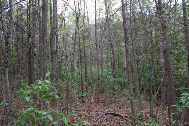 0 Clear Point Run, Lynch Station, VA 24571 - photo 38