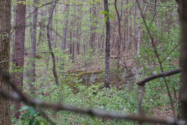 0 Clear Point Run, Lynch Station, VA 24571 - photo 34