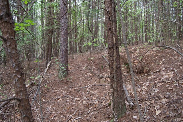 0 Clear Point Run, Lynch Station, VA 24571 - photo 63