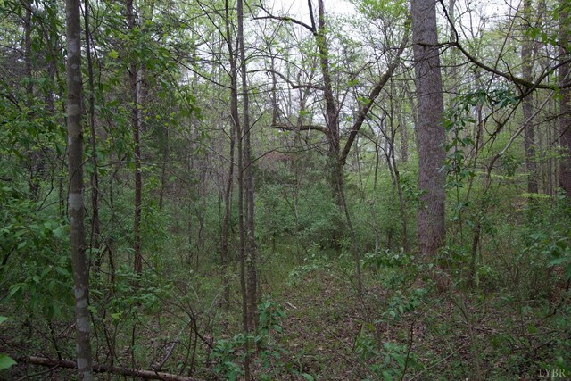 0 Clear Point Run, Lynch Station, VA 24571 - photo 35