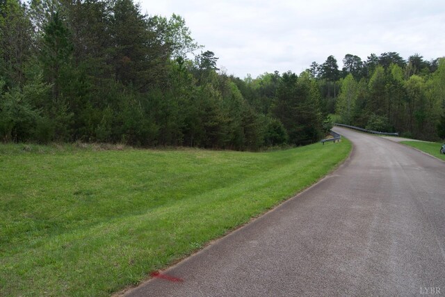 0 Clear Point Run, Lynch Station, VA 24571 - photo 69