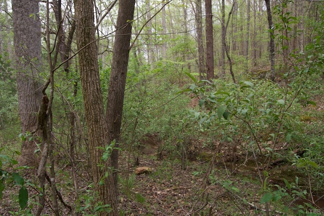 0 Clear Point Run, Lynch Station, VA 24571 - photo 32