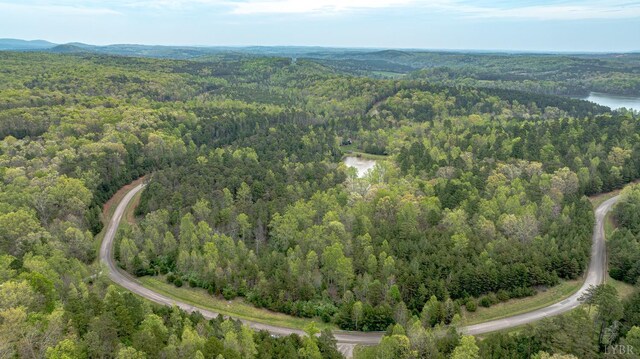0 Clear Point Run, Lynch Station, VA 24571 - photo 29