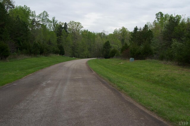 0 Clear Point Run, Lynch Station, VA 24571 - photo 72