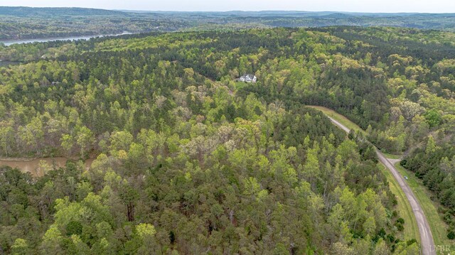 0 Clear Point Run, Lynch Station, VA 24571 - photo 15