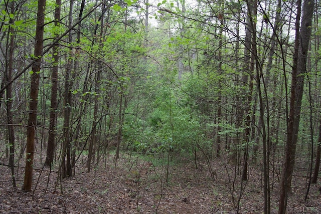 0 Clear Point Run, Lynch Station, VA 24571 - photo 65