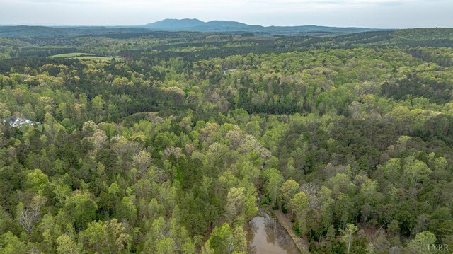 0 Clear Point Run, Lynch Station, VA 24571 - photo 27
