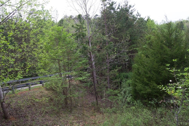 0 Clear Point Run, Lynch Station, VA 24571 - photo 43