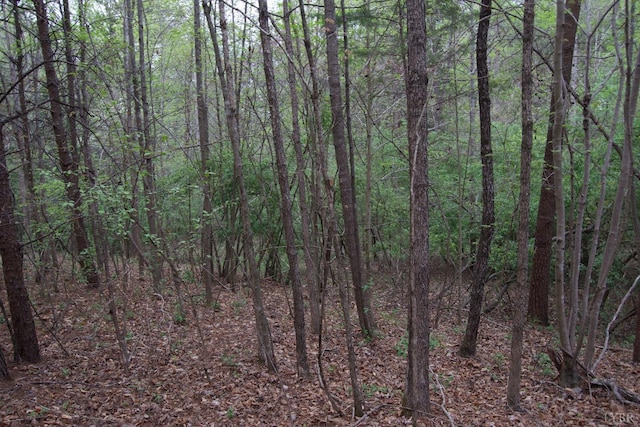 0 Clear Point Run, Lynch Station, VA 24571 - photo 42