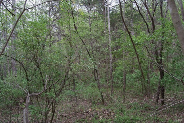 0 Clear Point Run, Lynch Station, VA 24571 - photo 37