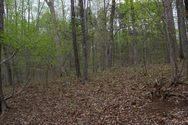 0 Clear Point Run, Lynch Station, VA 24571 - photo 56