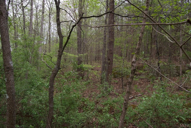 0 Clear Point Run, Lynch Station, VA 24571 - photo 31