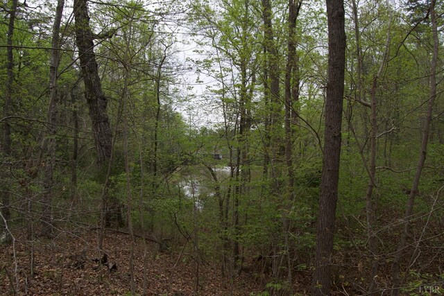 0 Clear Point Run, Lynch Station, VA 24571 - photo 55