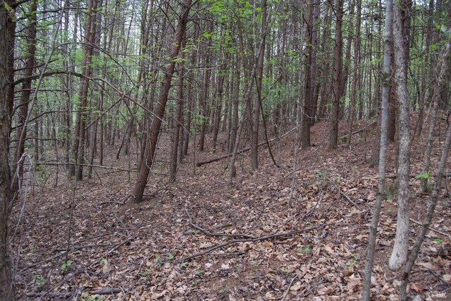 0 Clear Point Run, Lynch Station, VA 24571 - photo 66
