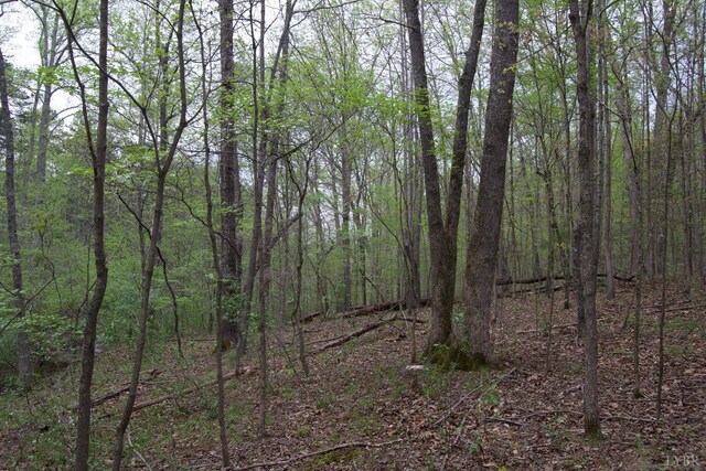 0 Clear Point Run, Lynch Station, VA 24571 - photo 47