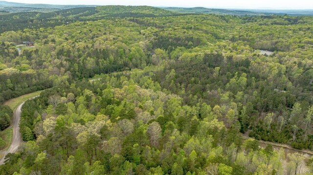 0 Clear Point Run, Lynch Station, VA 24571 - photo 17