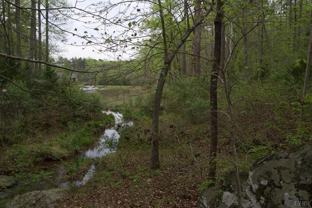 0 Clear Point Run, Lynch Station, VA 24571 - photo 53