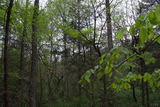 0 Clear Point Run, Lynch Station, VA 24571 - photo 46