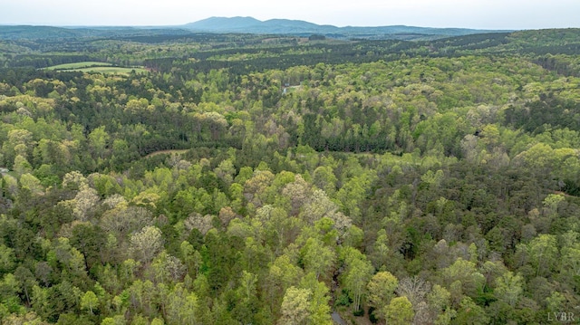0 Clear Point Run, Lynch Station, VA 24571 - photo 28