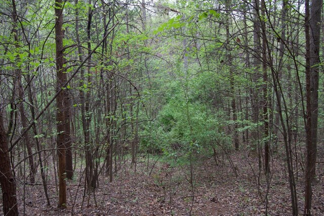 0 Clear Point Run, Lynch Station, VA 24571 - photo 45