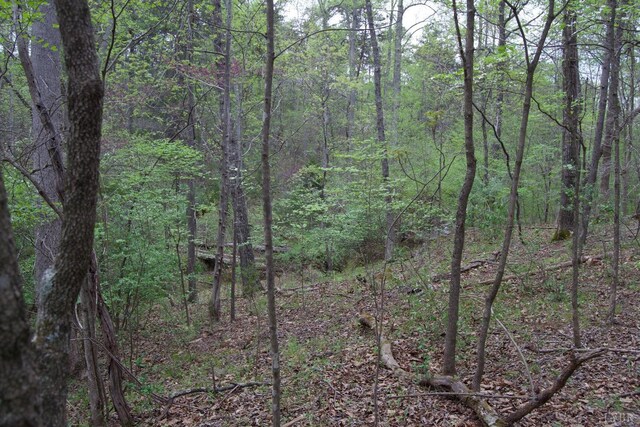 0 Clear Point Run, Lynch Station, VA 24571 - photo 48