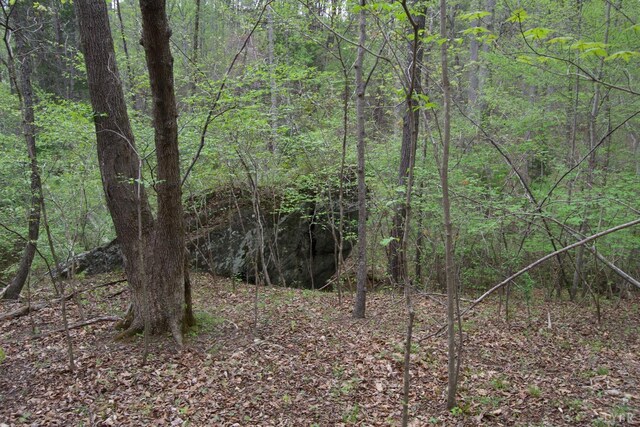 0 Clear Point Run, Lynch Station, VA 24571 - photo 58