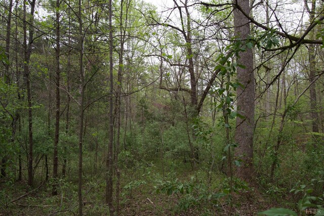 0 Clear Point Run, Lynch Station, VA 24571 - photo 33