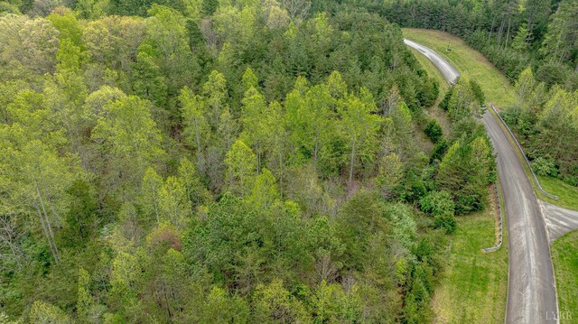 0 Clear Point Run, Lynch Station, VA 24571 - photo 13