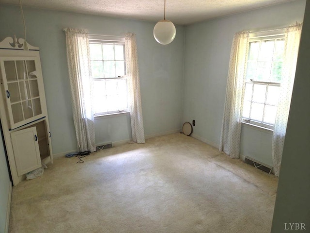 11420 Wards Rd, Rustburg, VA 24588 - empty room with plenty of natural light, carpet flooring, and baseboards