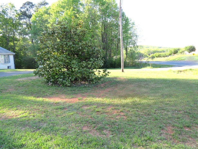 11420 Wards Rd, Rustburg, VA 24588 - view of grassy yard