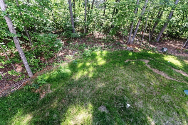 312 Walton Dr, Appomattox, VA 24522 - photo 37