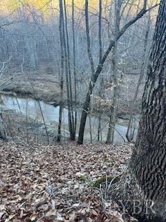 3200 Tobacco Rd, Nathalie, VA 24577