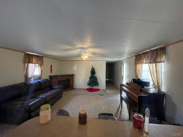 3200 Tobacco Rd, Nathalie, VA 24577