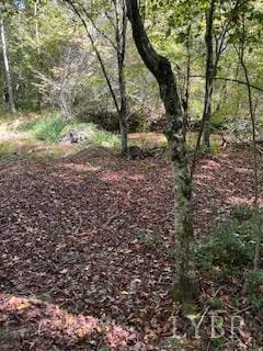 3200 Tobacco Rd, Nathalie, VA 24577
