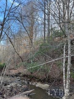 3200 Tobacco Rd, Nathalie, VA 24577
