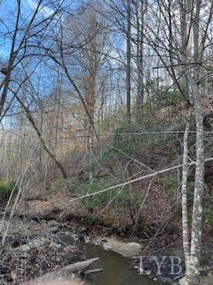 3200 Tobacco Rd, Nathalie, VA 24577 - photo 10